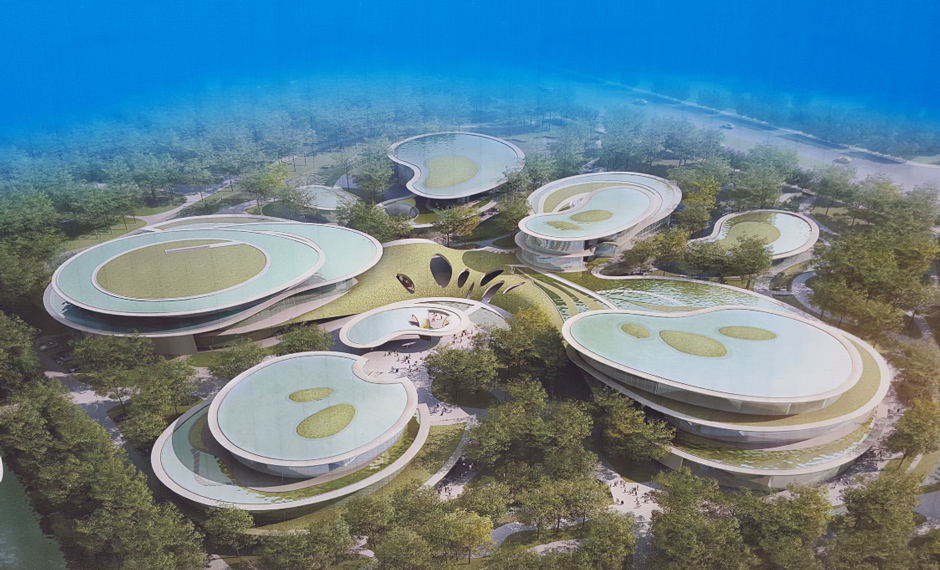 ����Ļ�����